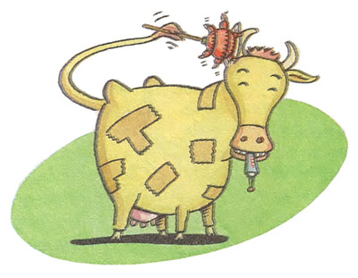 
Use Krazy Glue to pull ticks from a cow.
